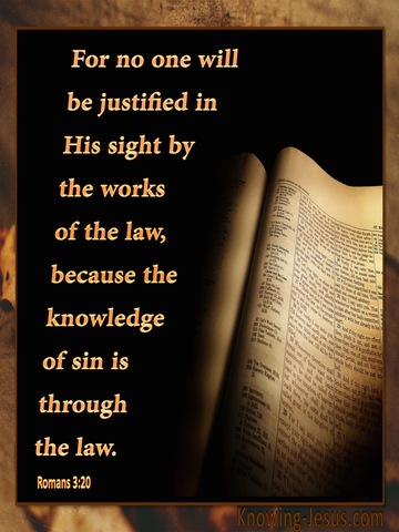 Romans 3:20 Knowledge of Sin is Through the Law (orange)